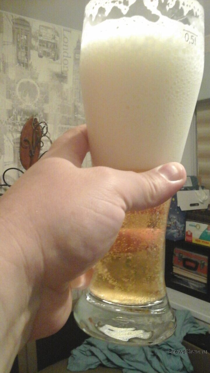 Розлив пива в бутылки и влияние окисления на итоговый продукт